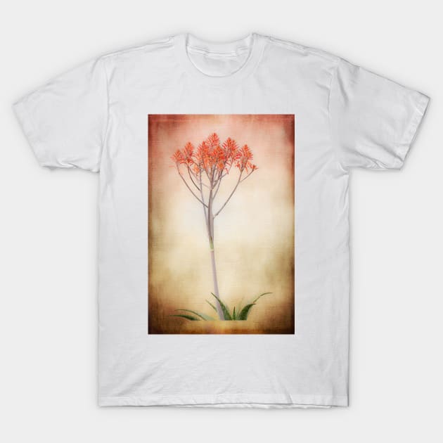 Flowering Aloe - Orange Blooms T-Shirt by Debra Martz